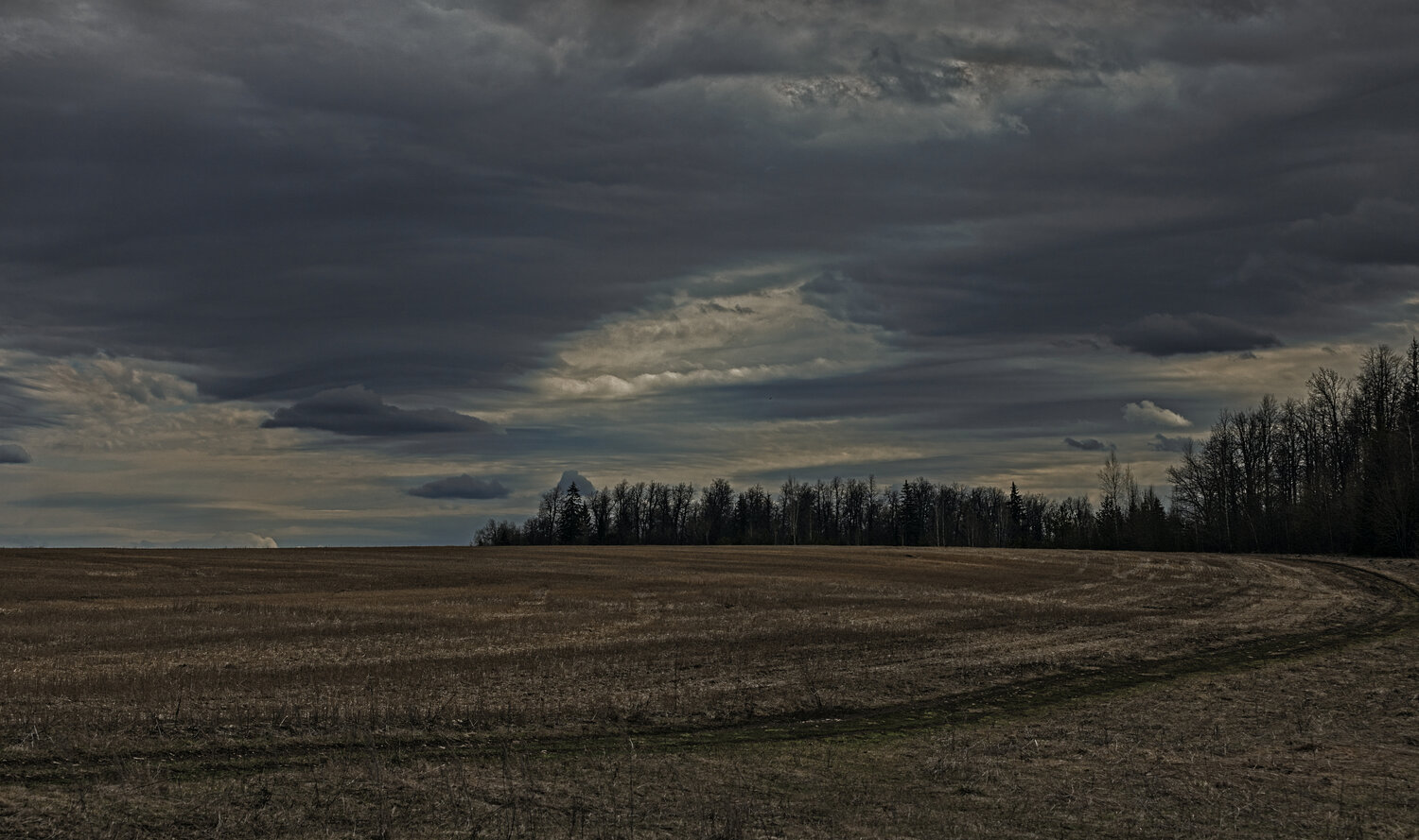 Photo #13782673
