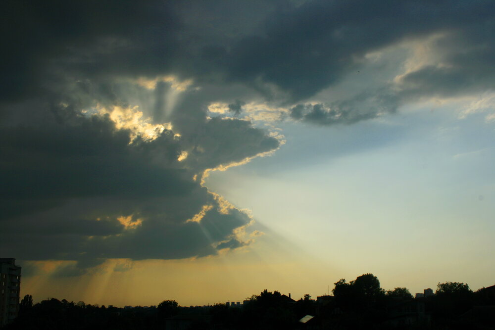 Photo #13782674
