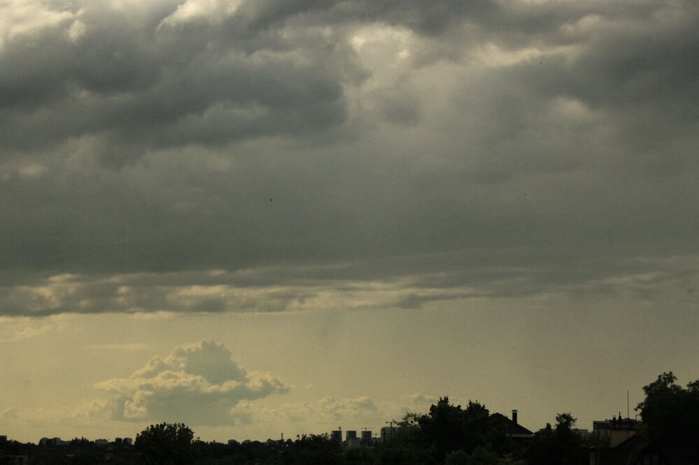 Photo #13782689