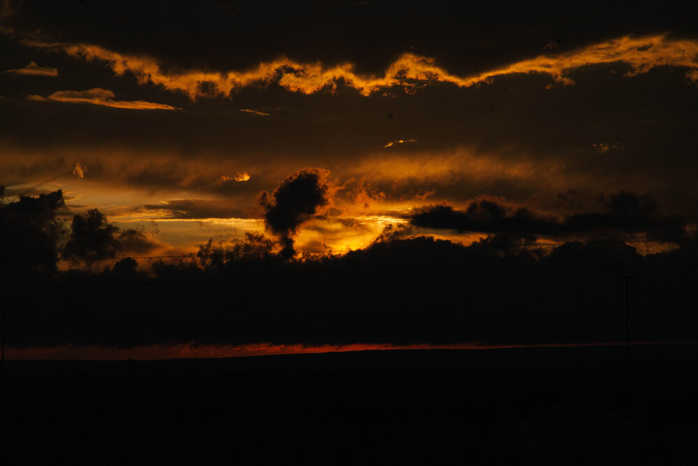 Photo #13782690