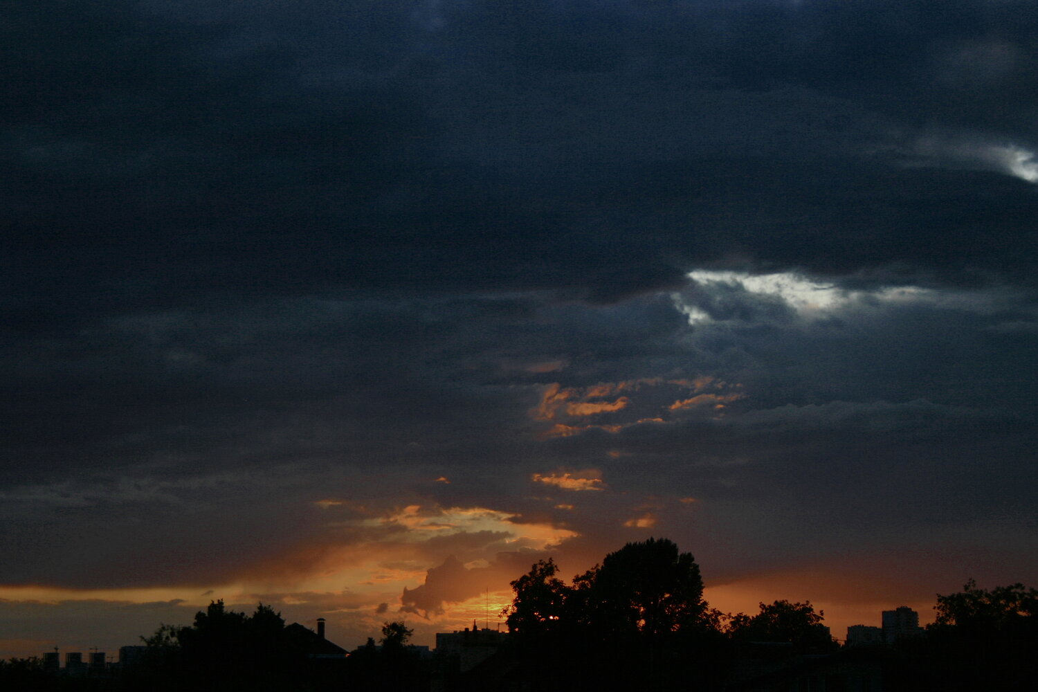 Photo #13782696