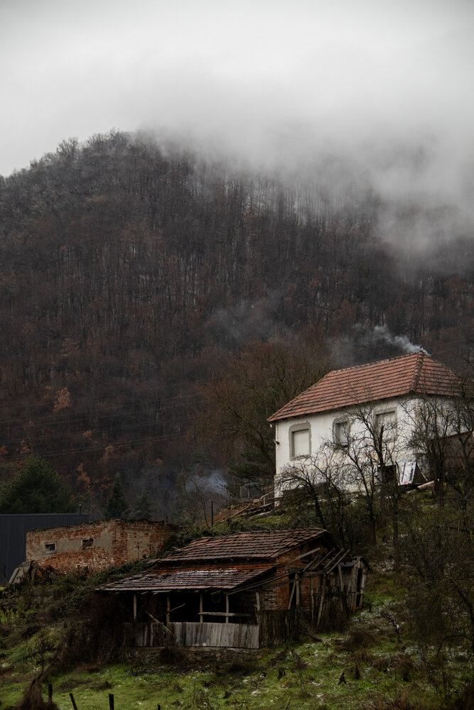 Photo #13782740