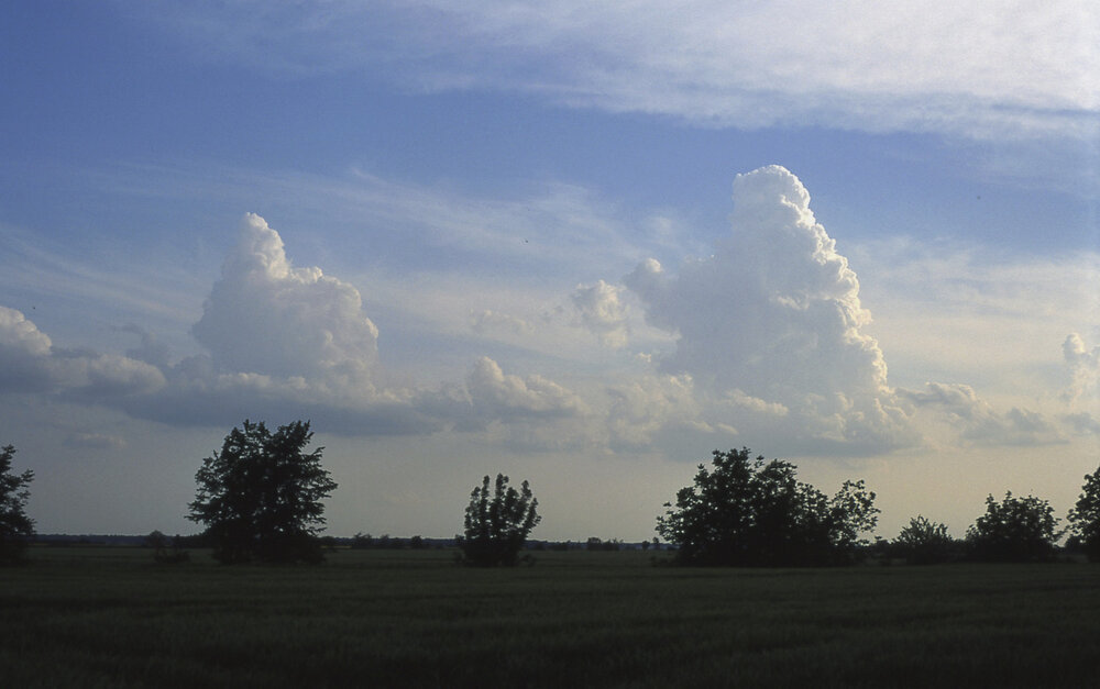 Photograph by Cristian Brustur