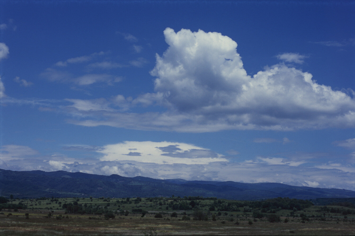 Photo #13782757