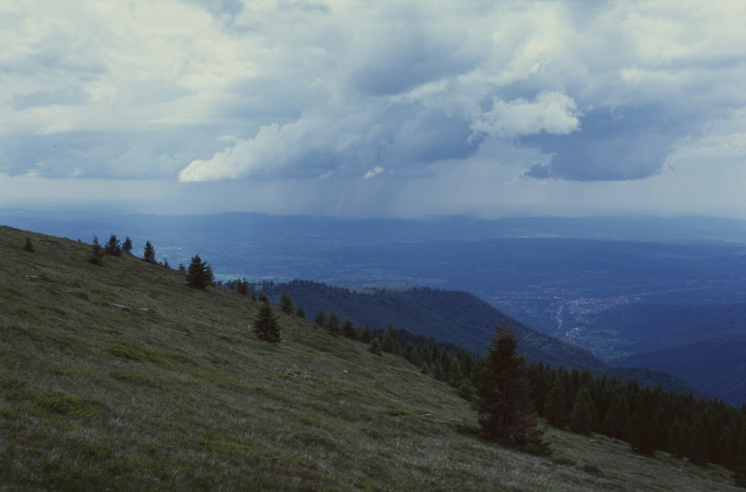 Photo #13782758
