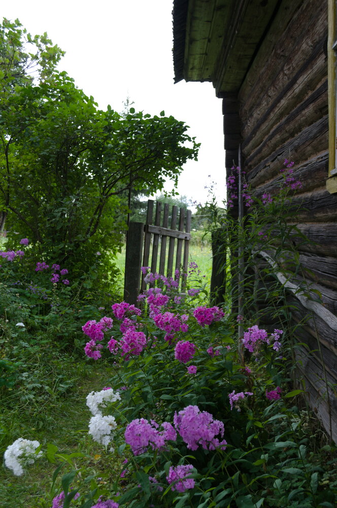 Photograph by Шамина Вера