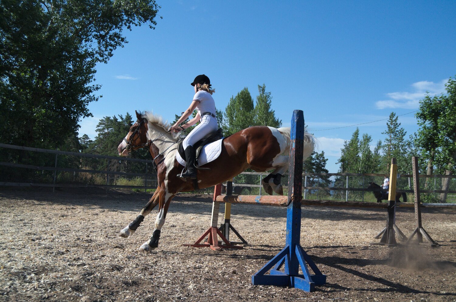 Photo #13782833