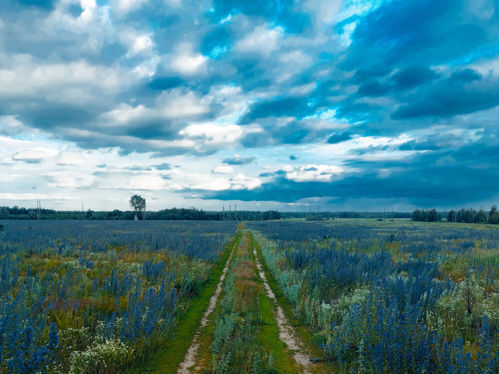 Photograph by Зульфия Вакилова
