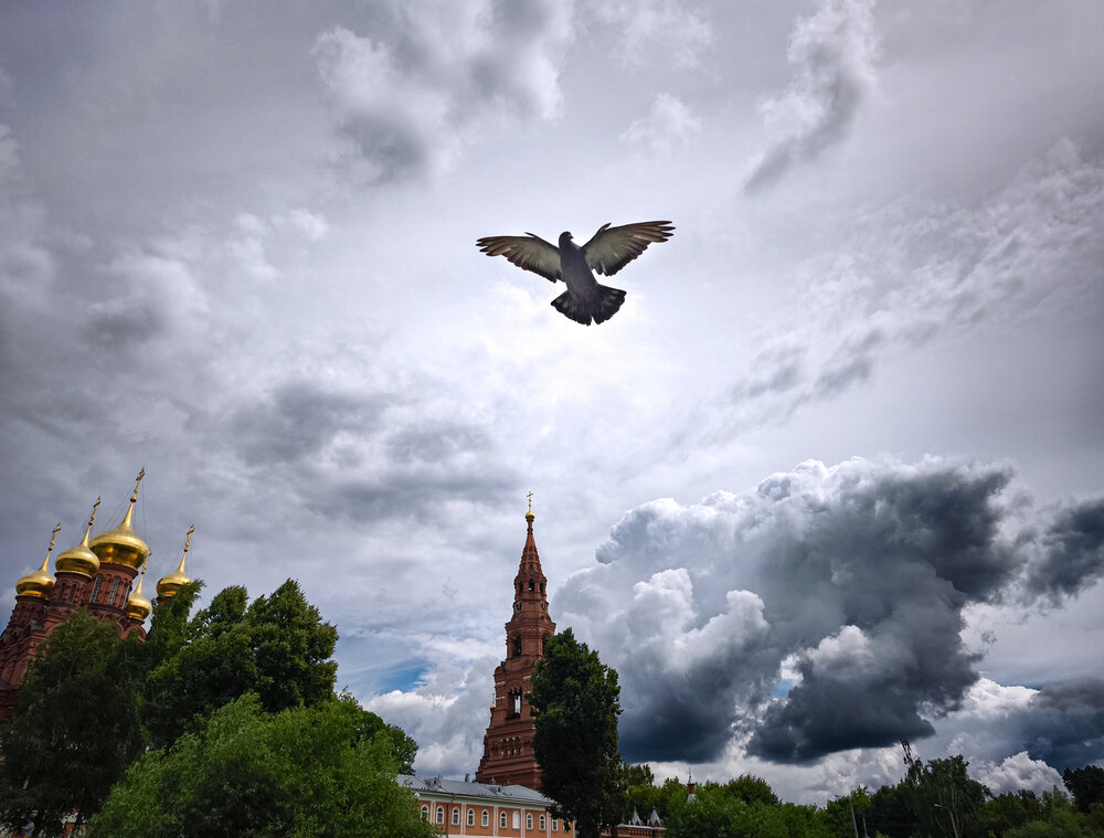 Photograph by Анна Савина
