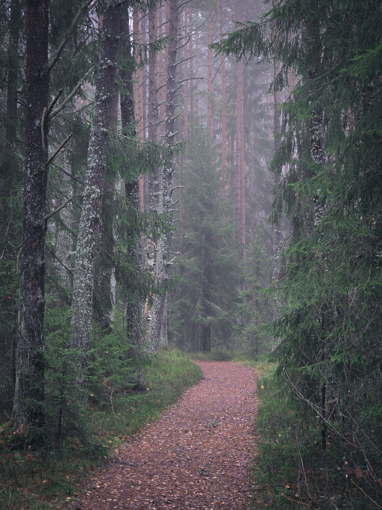 Photograph by Ирина Хлебникова