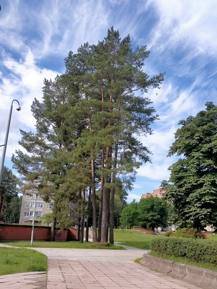 Photograph by Вера Цивенкова