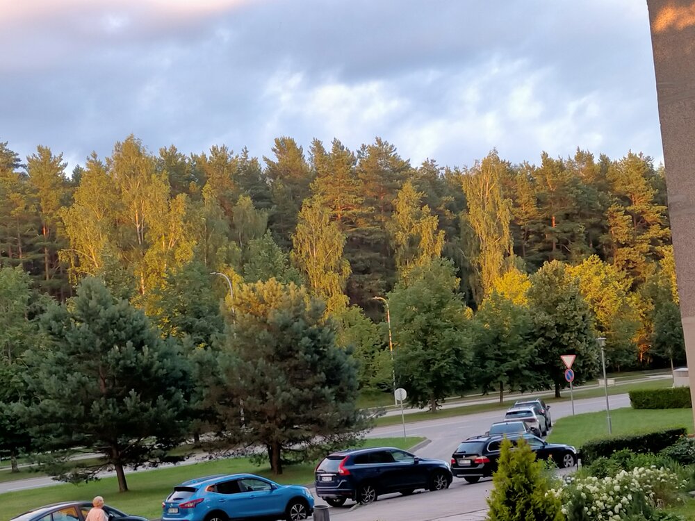 Photograph by Вера Цивенкова