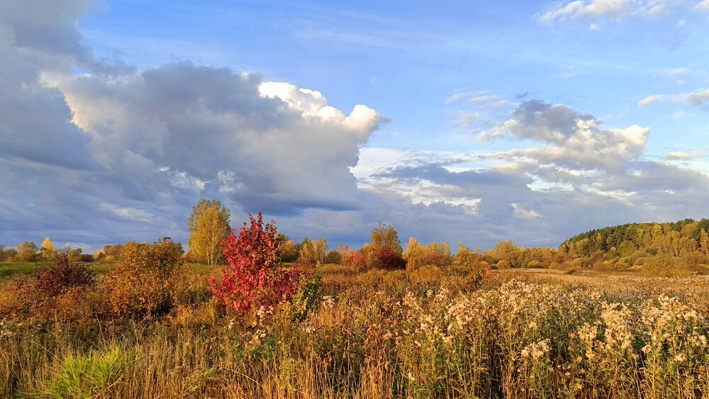 Photograph by Светлана Смирнова (Гридюшко)