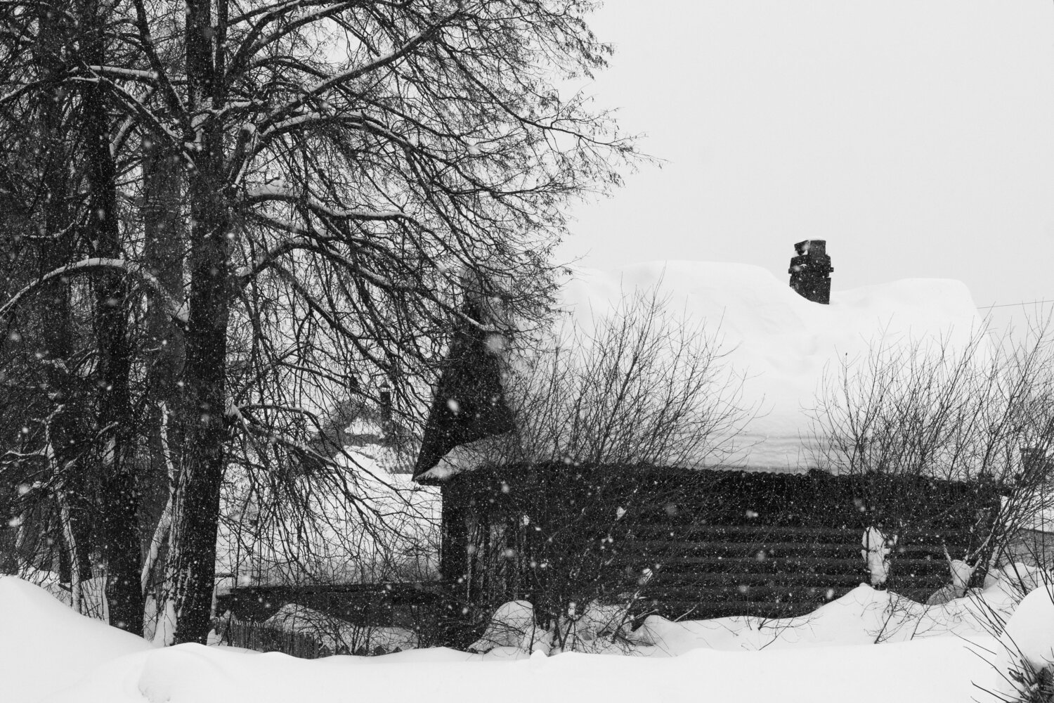 Photo #13783061