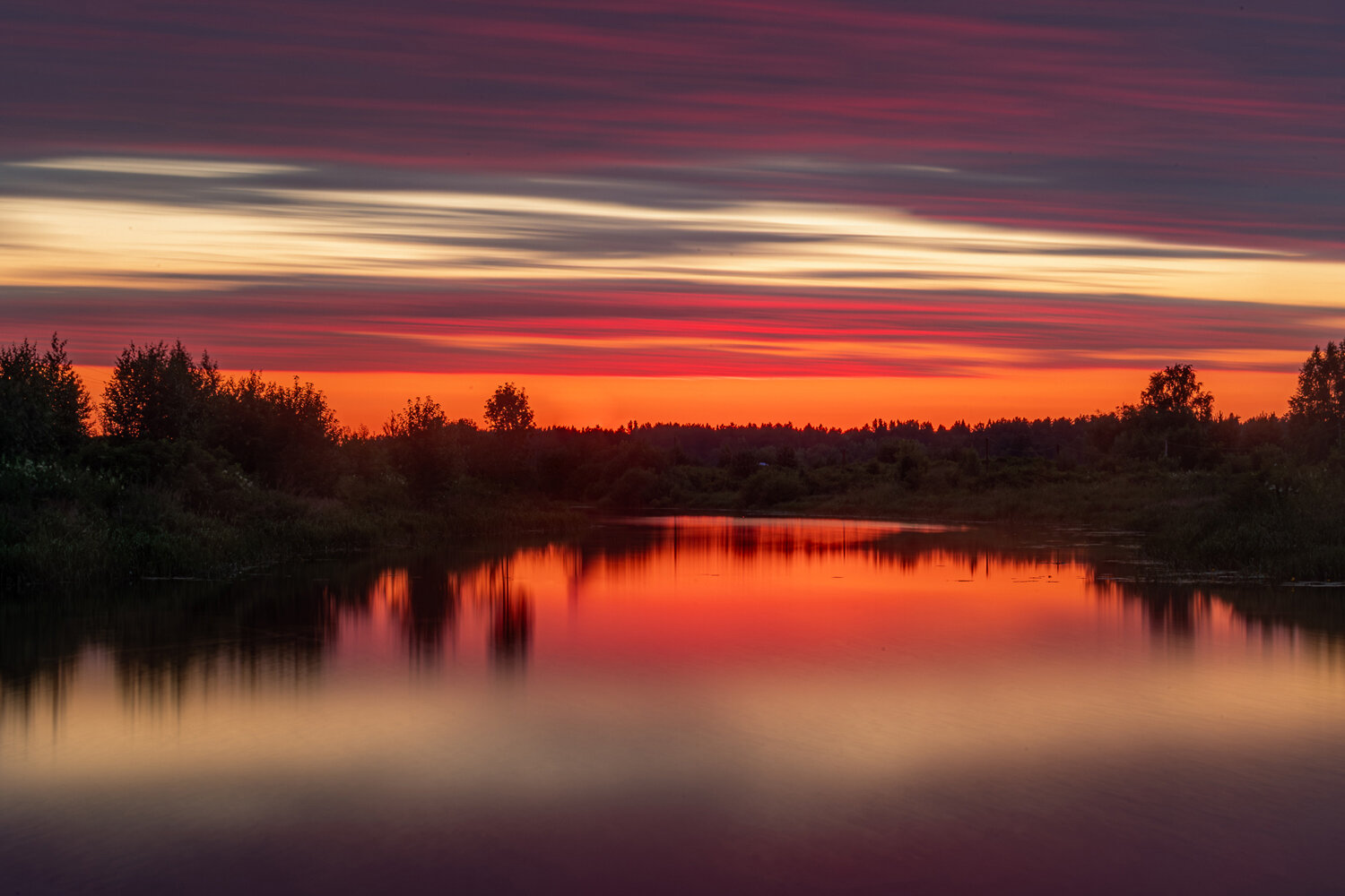 Photo #13783079