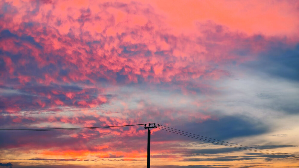 Photo #13783190
