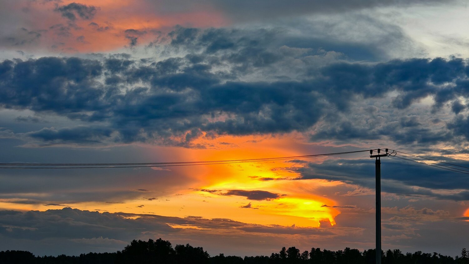 Photo #13783214