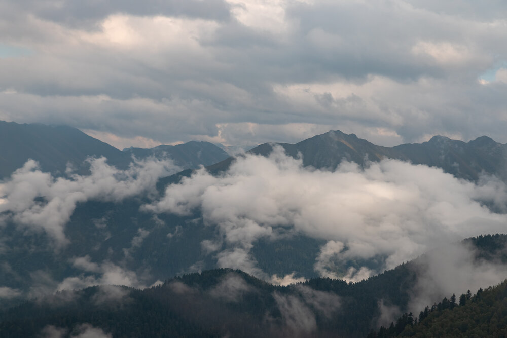 Photo #13783283