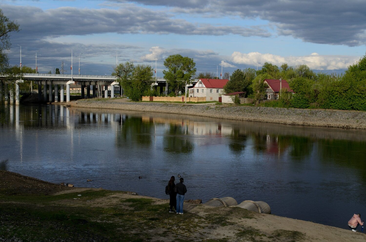 Photo #13783305