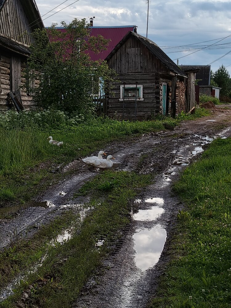 Photograph by Лариса Госнедель