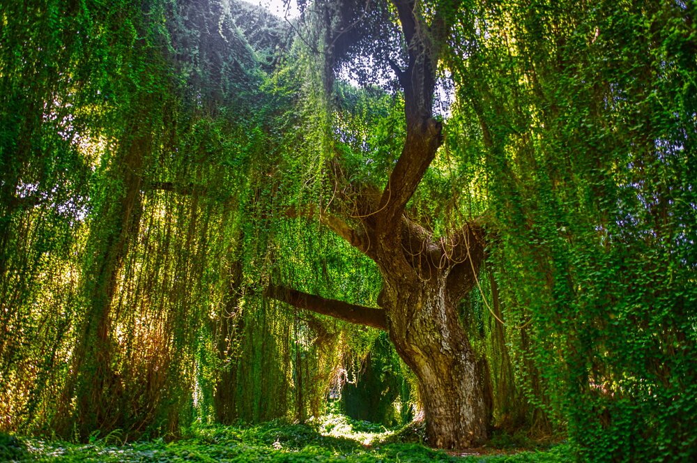Photograph by Андрей Хитров