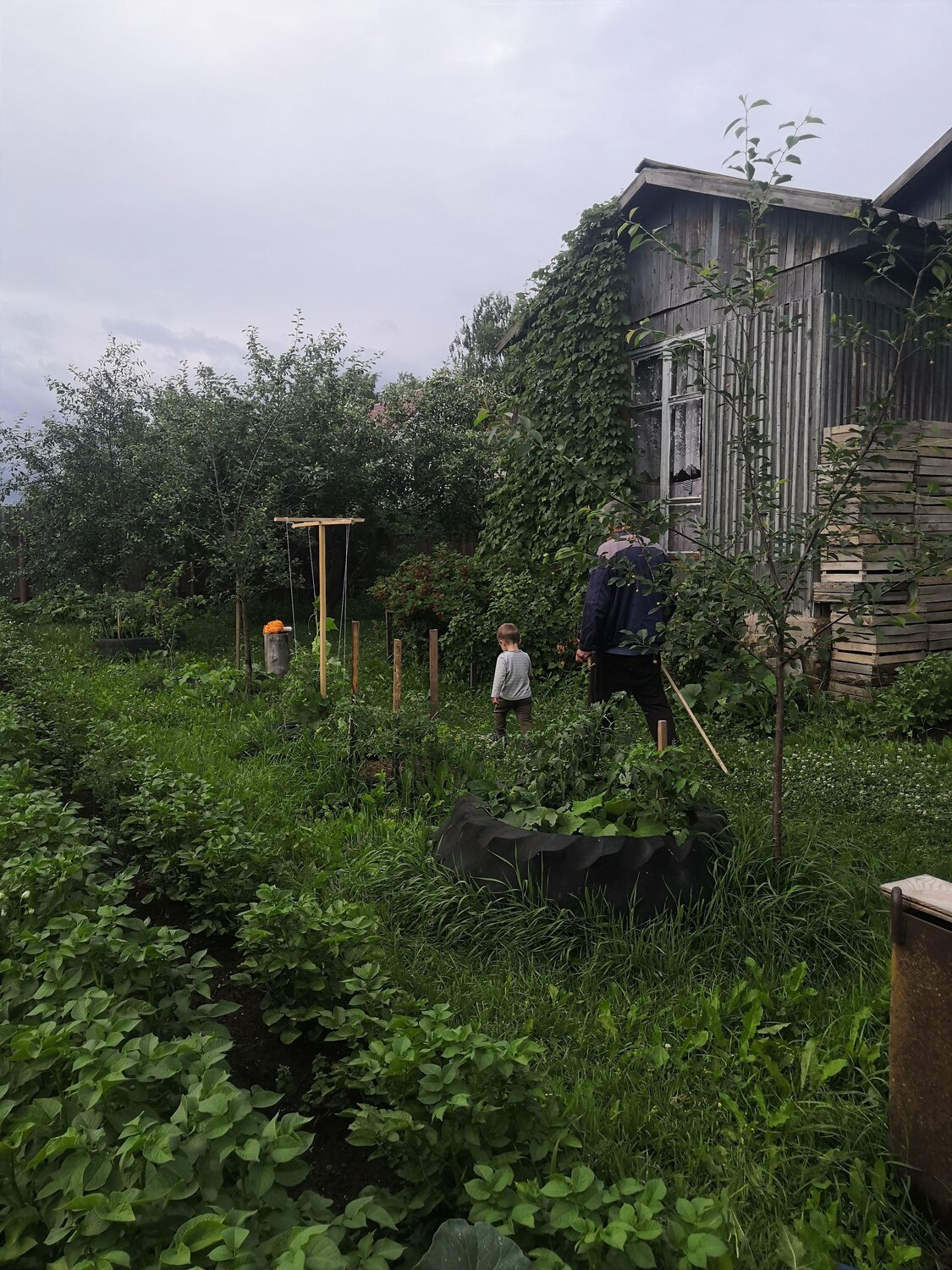 Photo #13783393