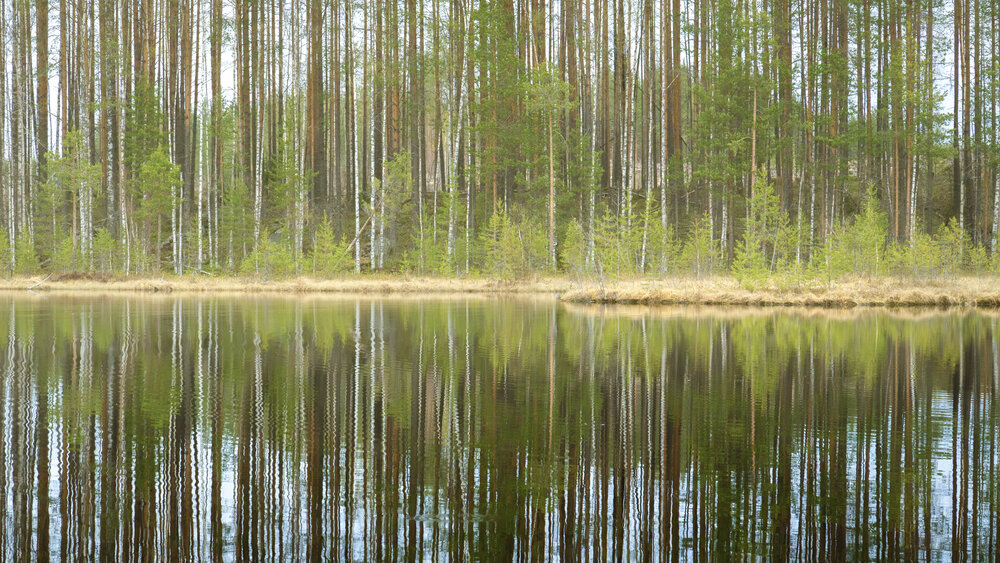Фотография автора Антон Огородов
