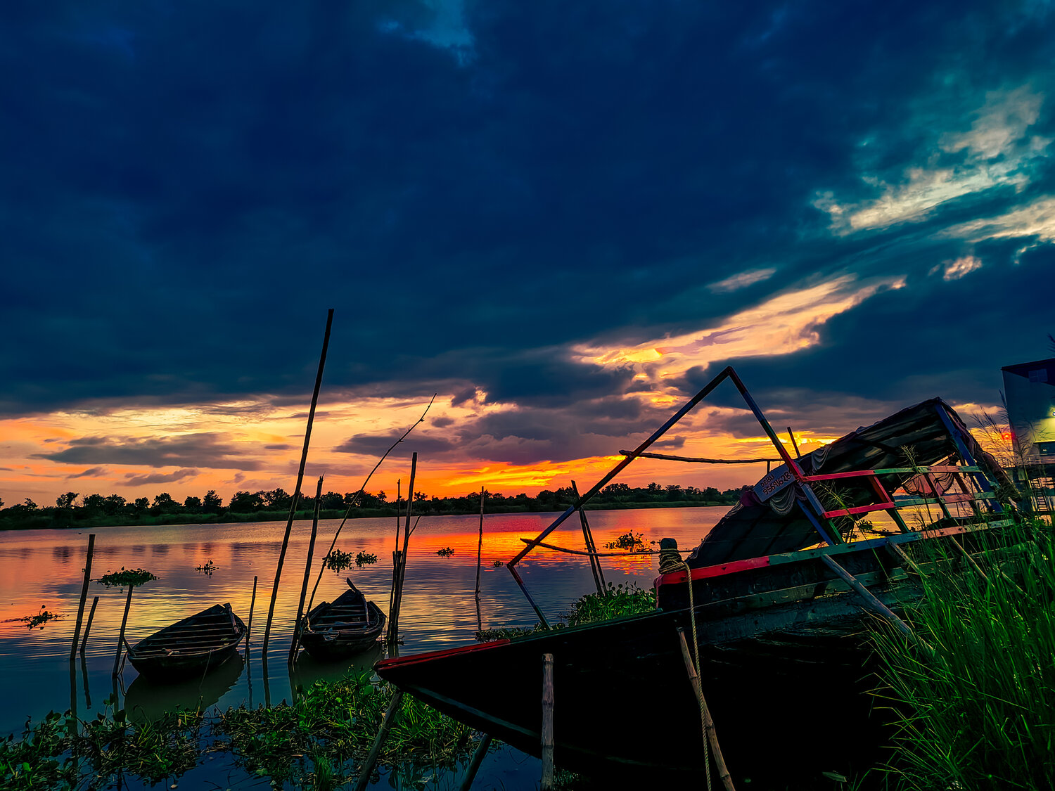 Photo #13783506