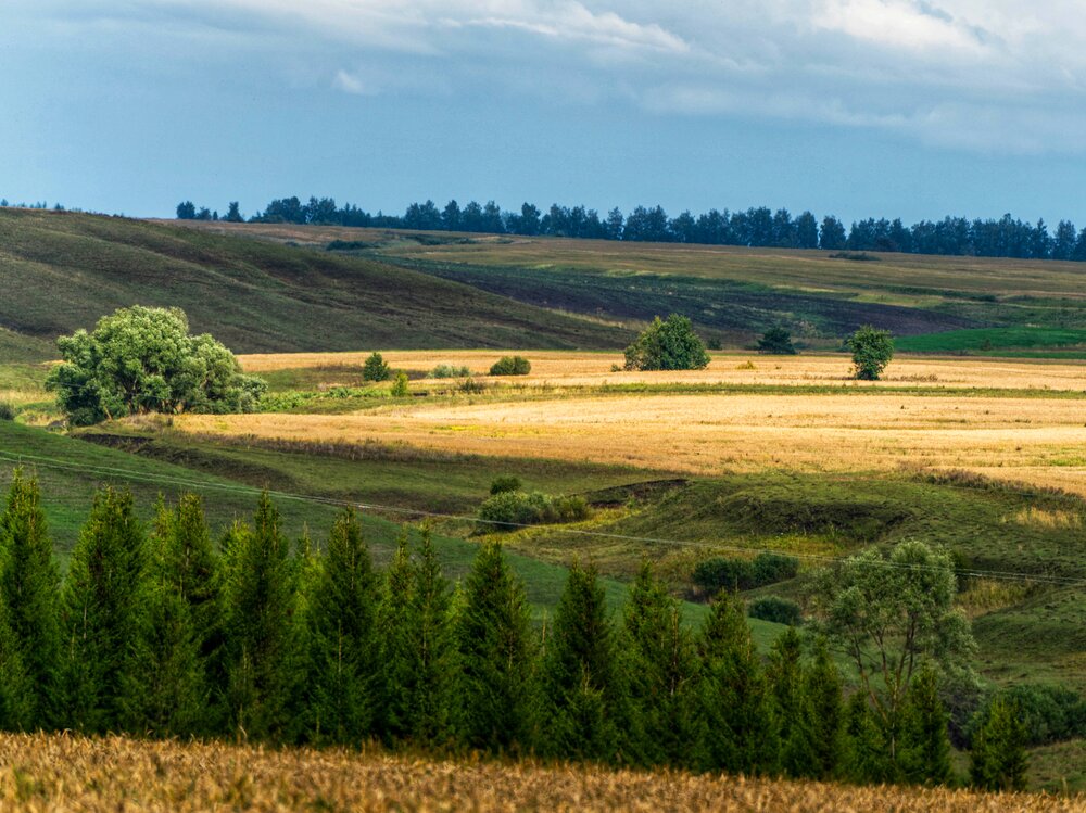 Photograph by Анастасия Глазюк