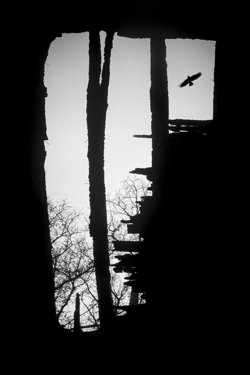 Photo #13783600