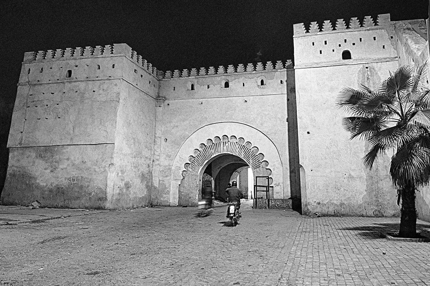Photo #13783669
