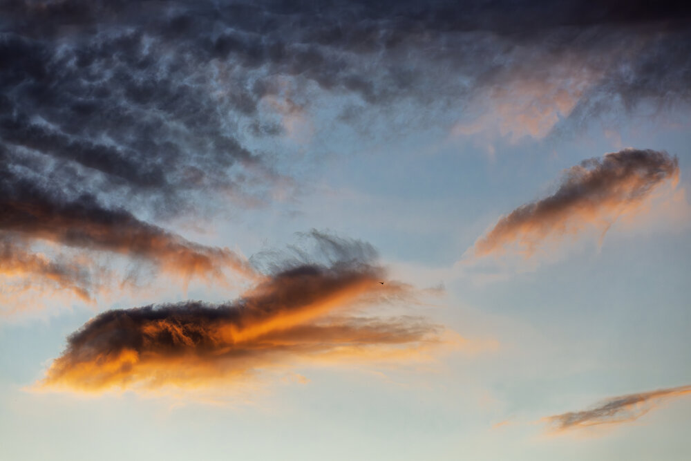 Photograph by CARLOS KIFFER