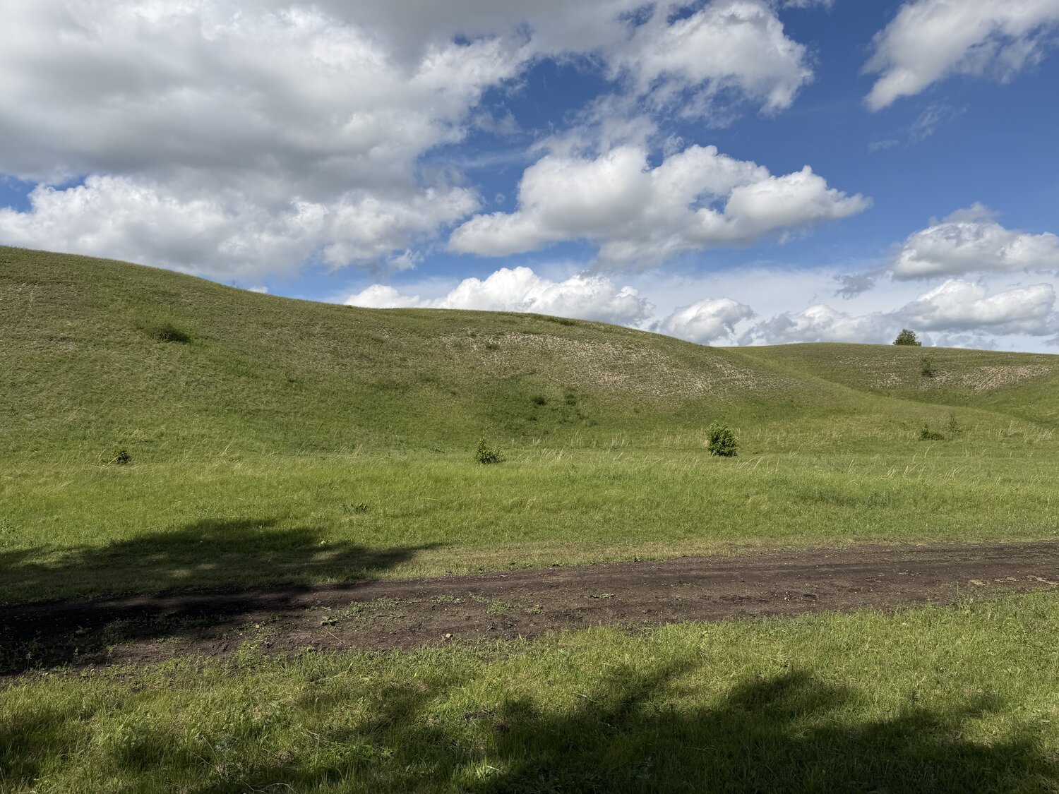 Photo #13783676