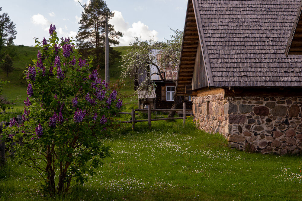Photo #13783680
