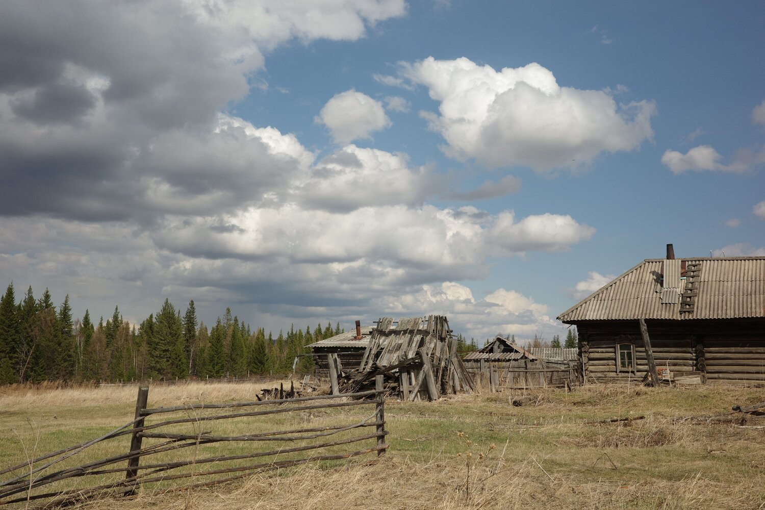 Photo #13783685