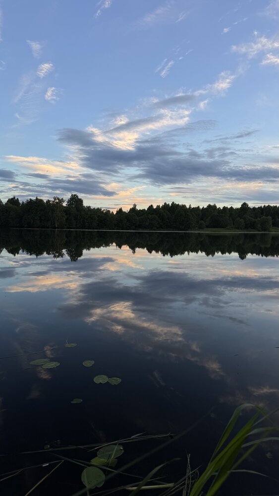 Photograph by Татьяна Артник