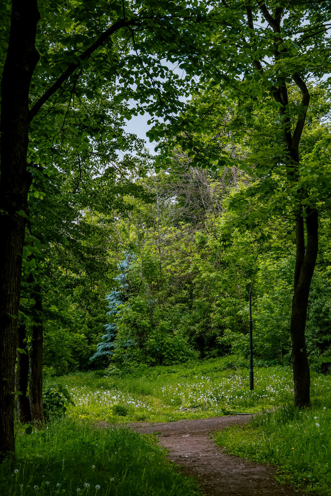 Photograph by Евгения Борзова