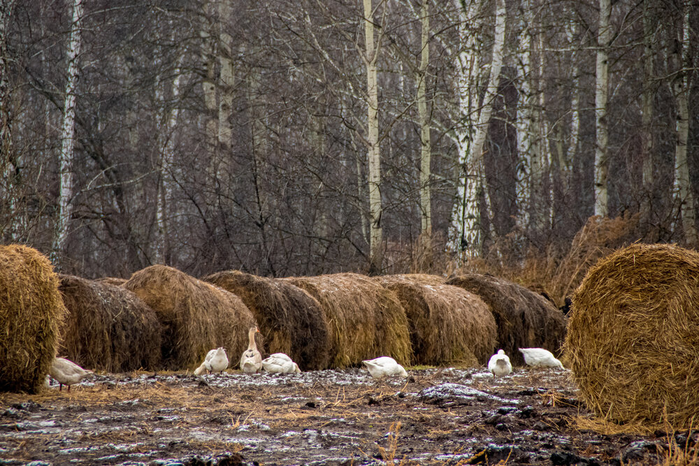 Photograph by Angelina Pirtina