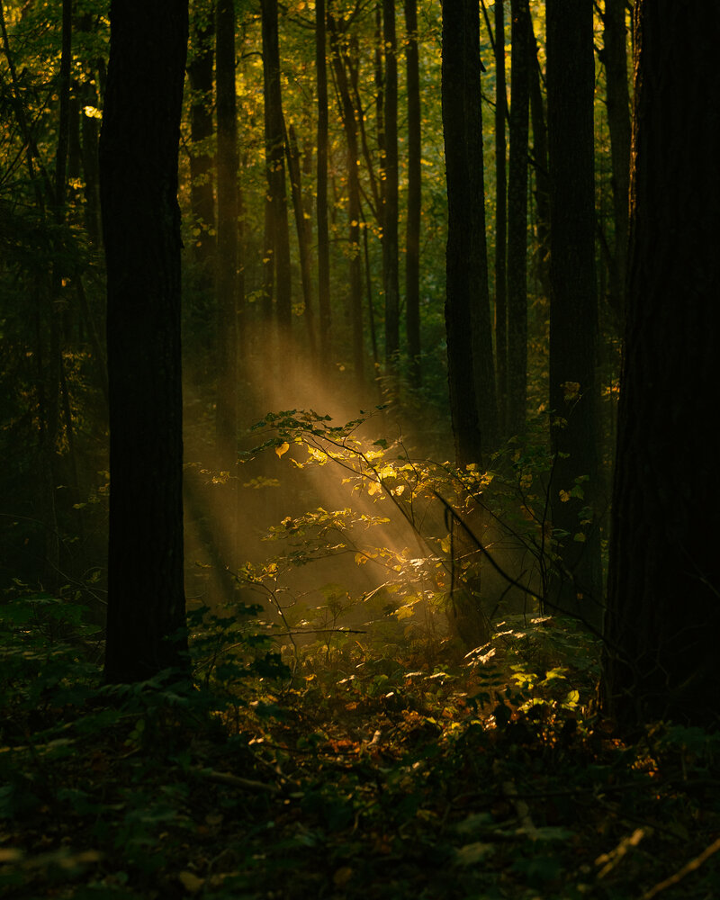 Photograph by Ulan