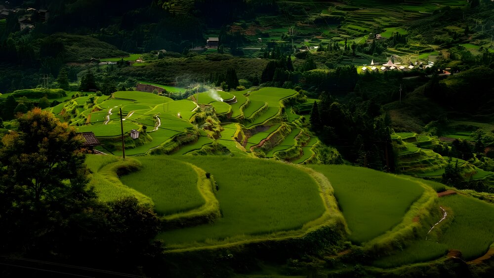 Emerald Terraces