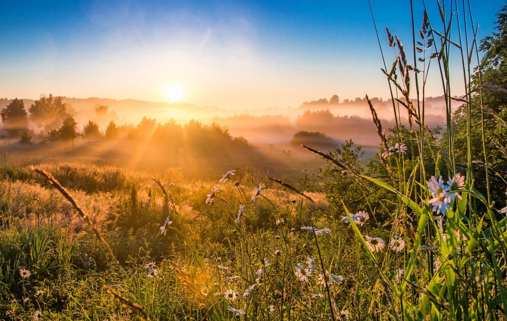 Photograph by Валерий Смирнов