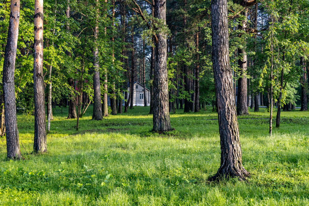 Photograph by Александр Ермаков