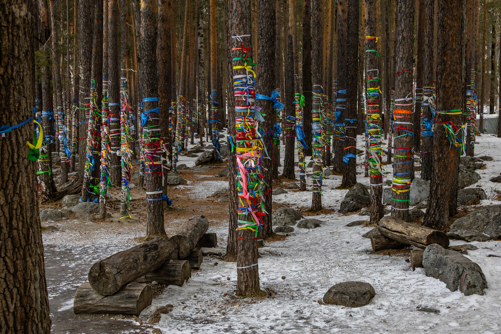 Photograph by Александр Ермаков