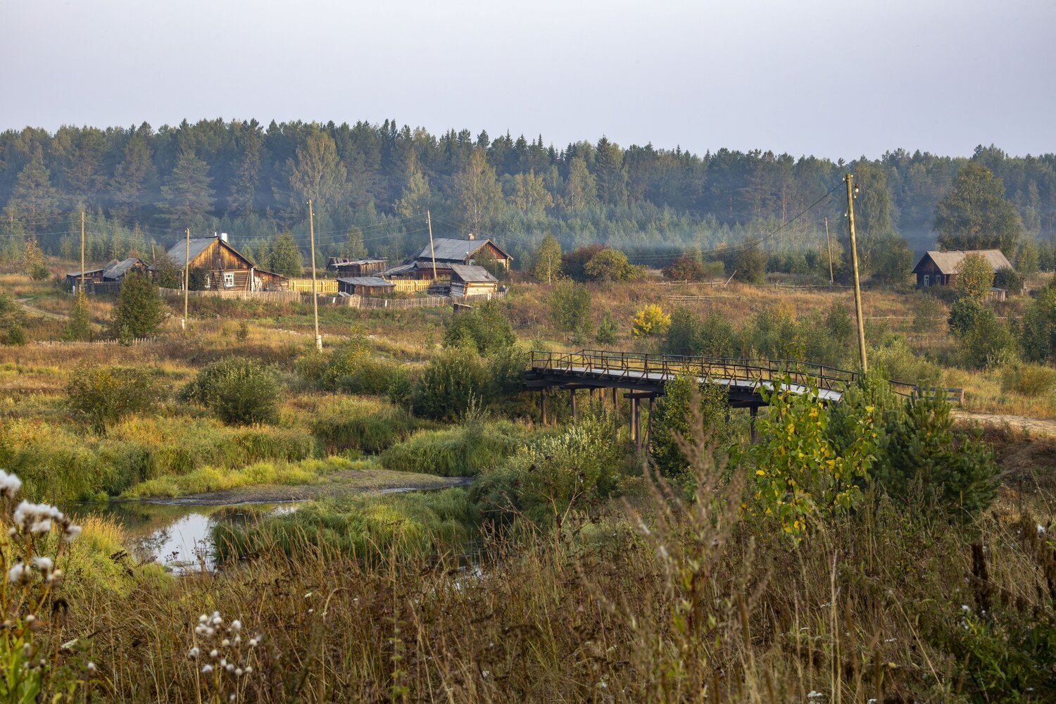 Photo #13783995