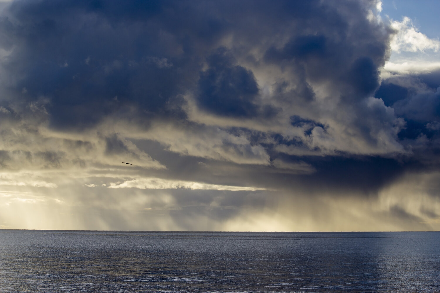 Curtains of Rain