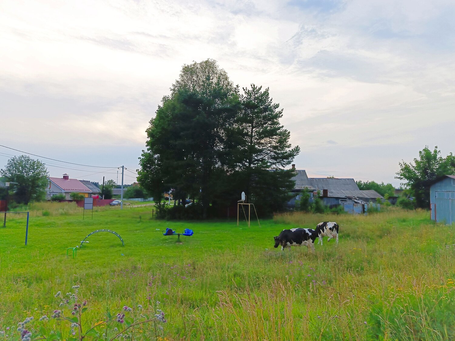 Photo #13784047