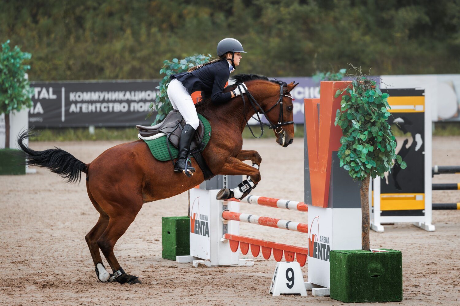 Фотография #13784066