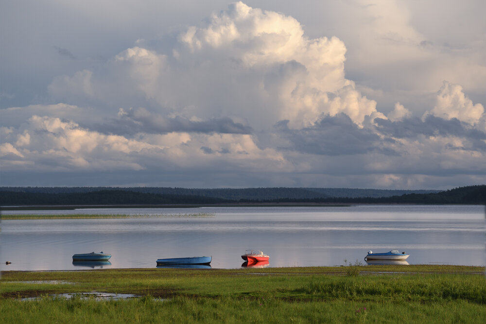 Photograph by Михаил Егоров