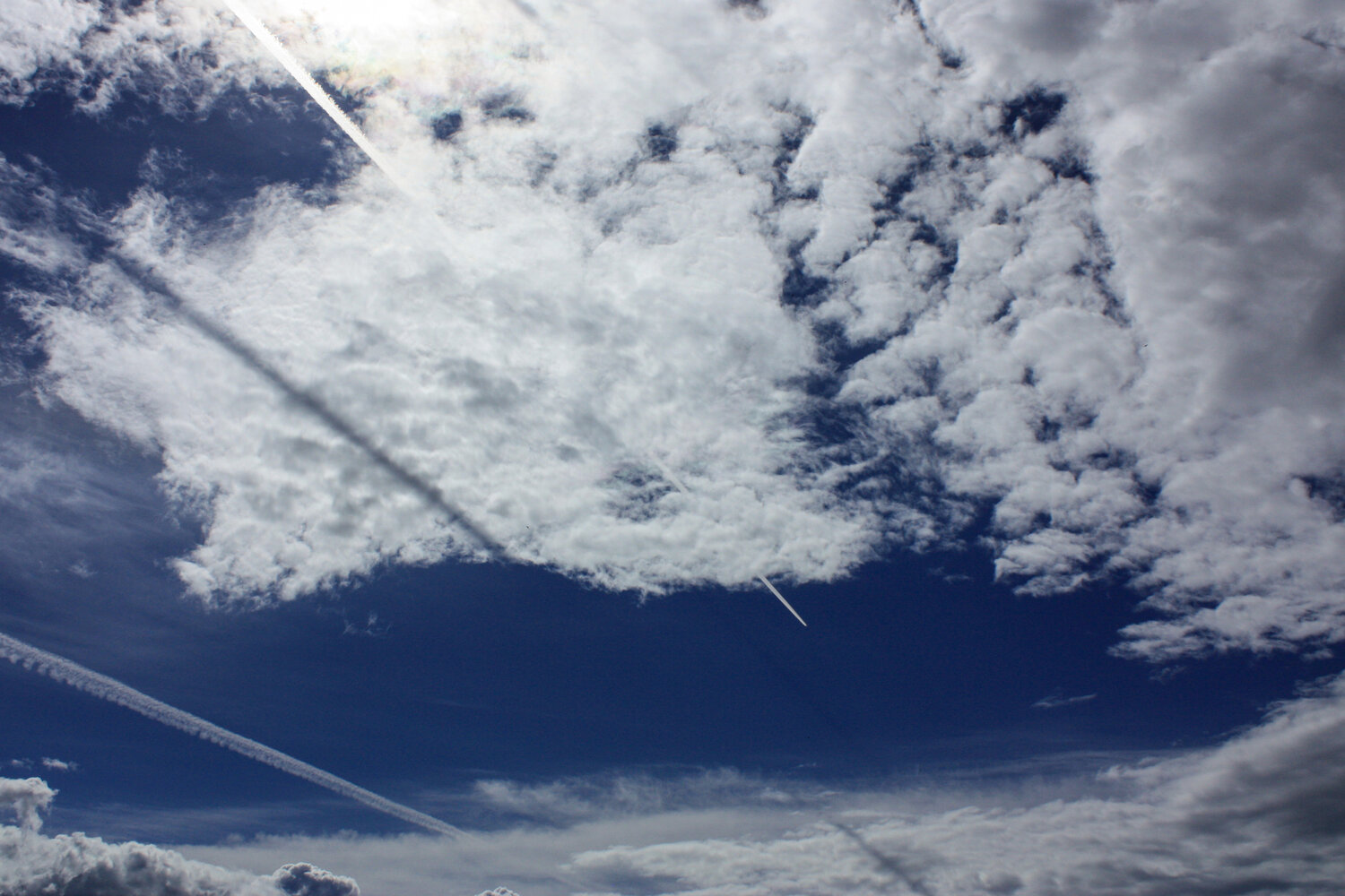 Photo #13784098