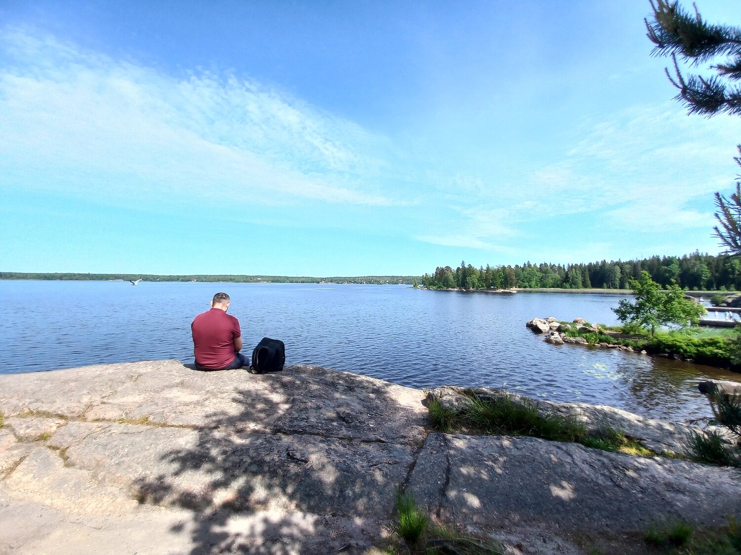 Photo #13784111